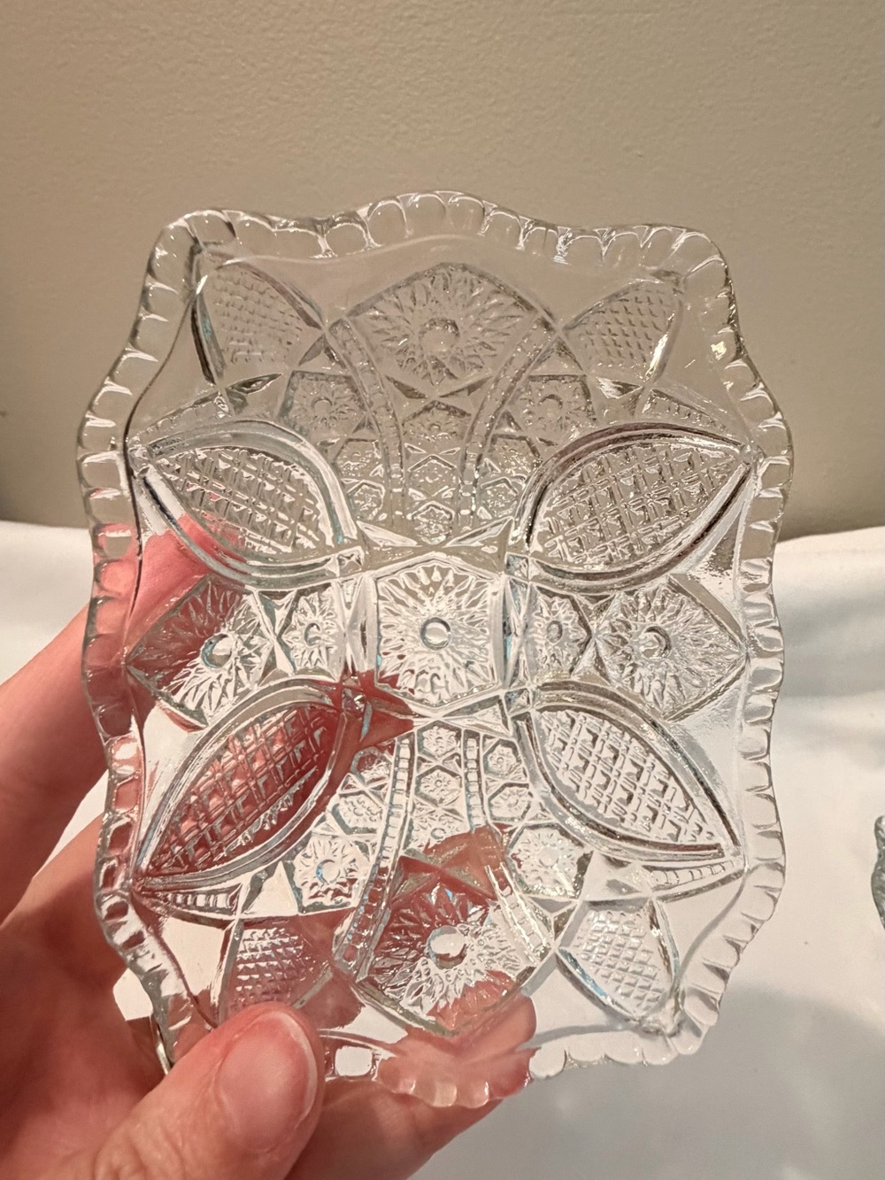 EAPG Indiana Glass Paneled Daisy & Fine Cut Scalloped Edge Bowl (5 pieces)